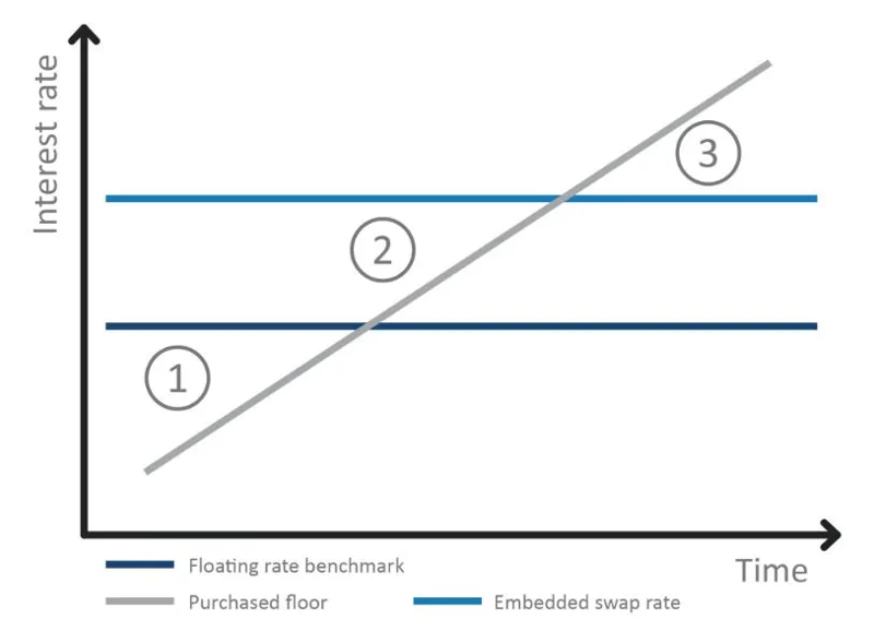 Interest rate swap and floor