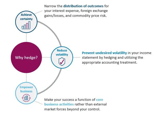 WhyHedgeGraphic.PNG